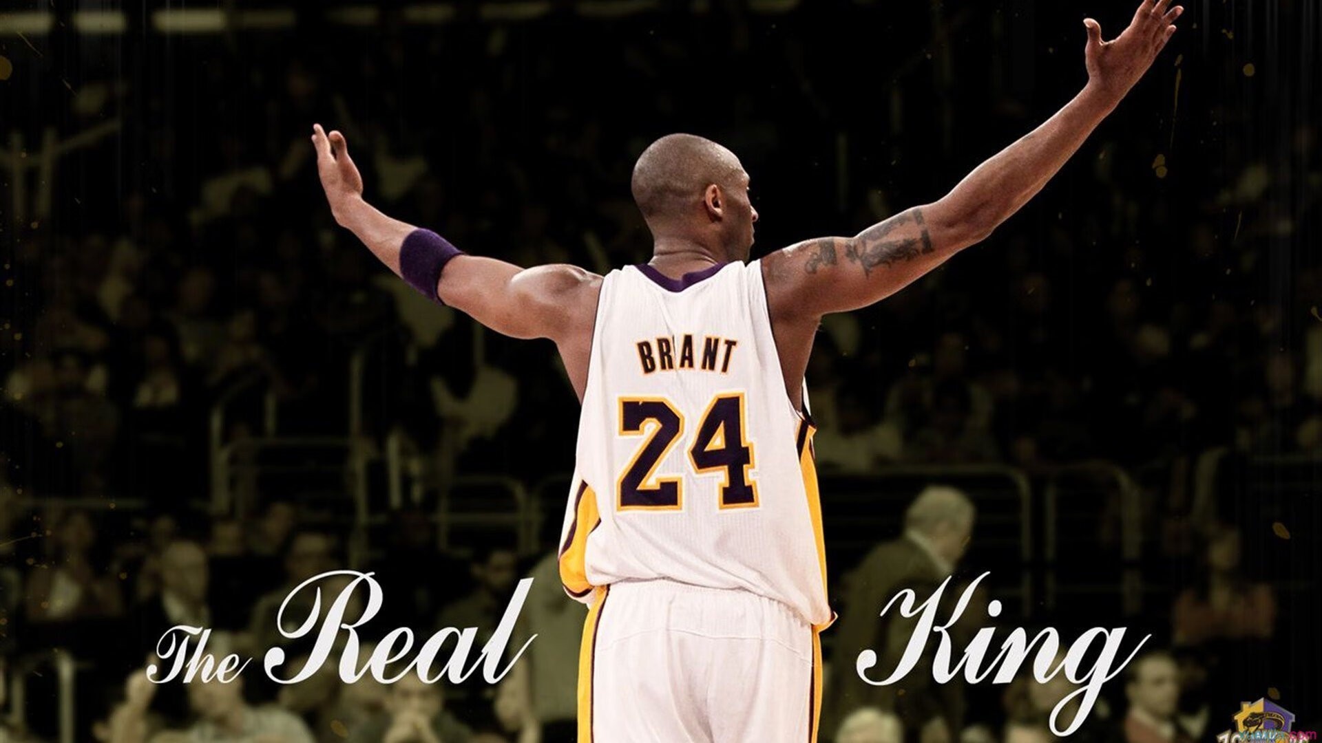 洛杉矶银河新援加盟，MLS冠军志在必得