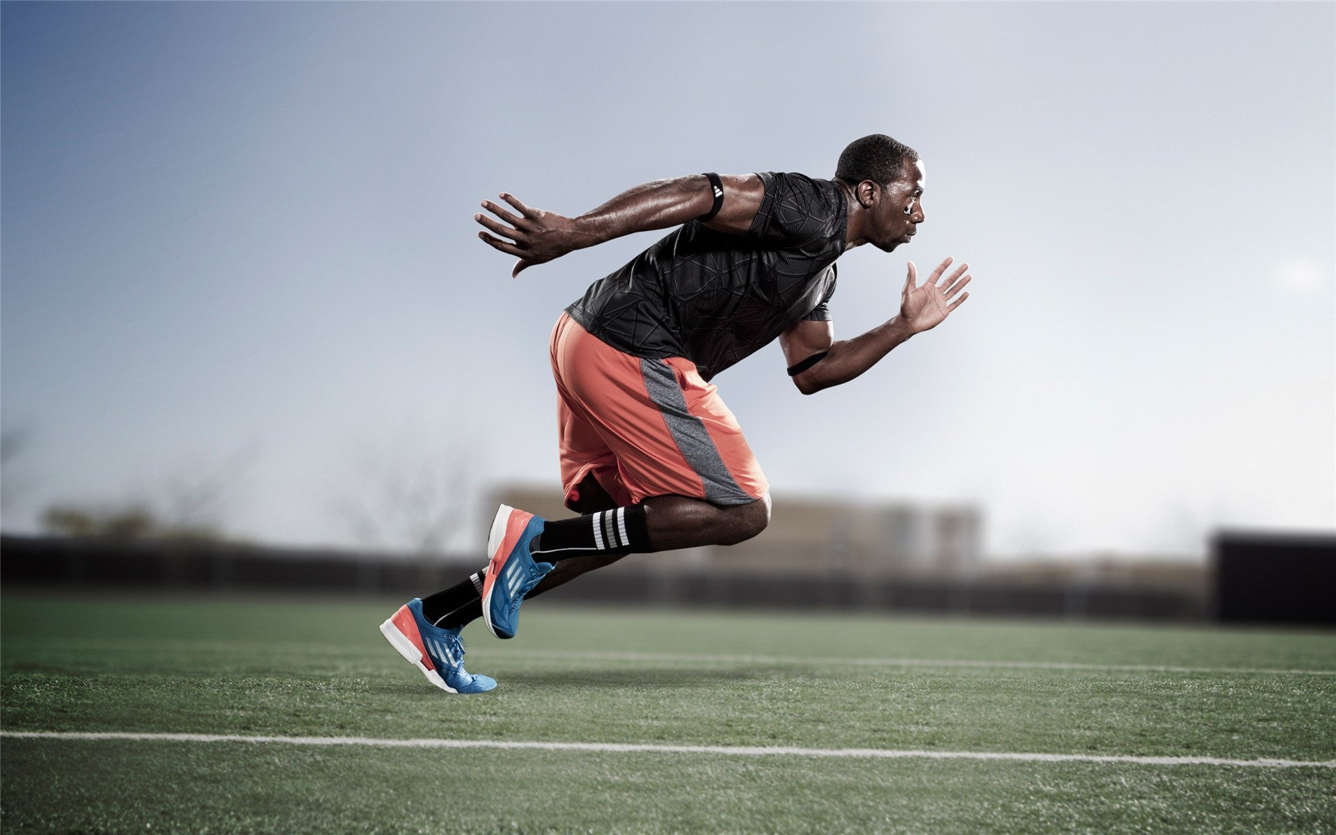 科尔博决赛表现超出所有预期，科尔获得几次总冠军